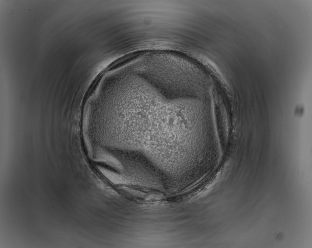 X0000101411081200807281020