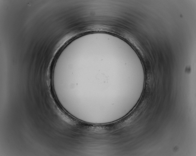 X0000101411082200807281020