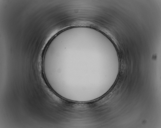 X0000101411083200807281020