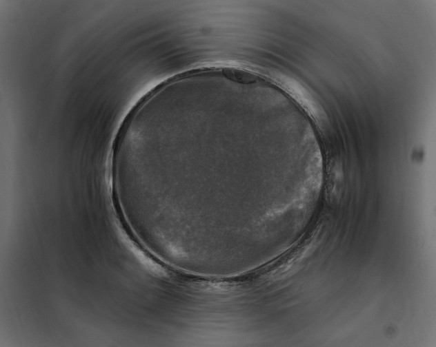 X0000101411084200807281020