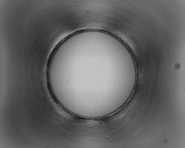 X0000101411085200807281020