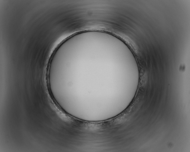 X0000101411086200807281020