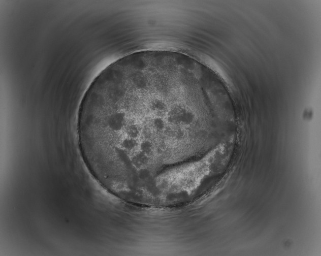 X0000101411087200807281020