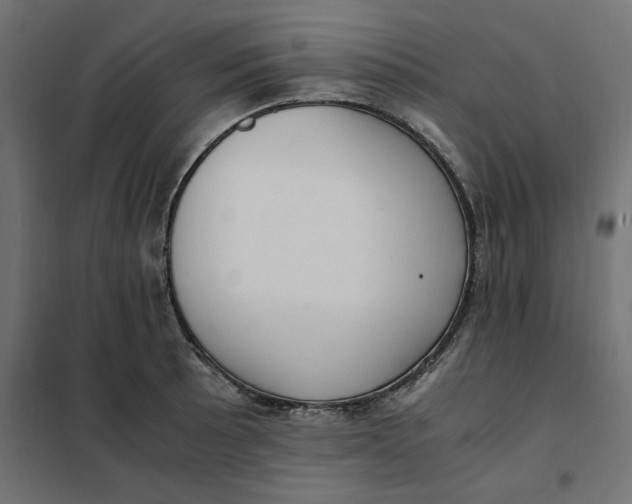 X0000101411089200807281020
