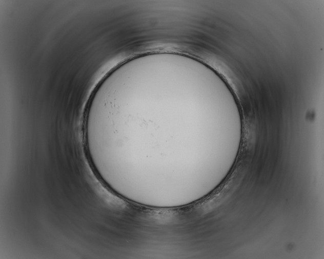 X0000101411090200807281020