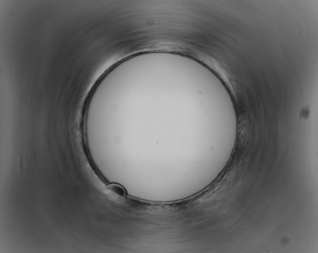 X0000101411091200807281020