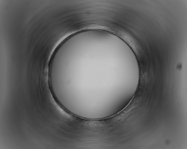 X0000101411092200807281019