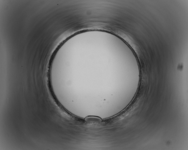 X0000101411093200807281019