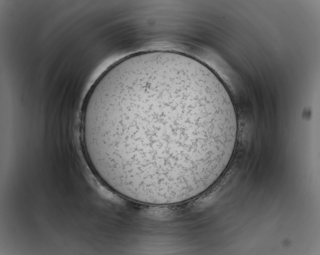 X0000101411094200807281019