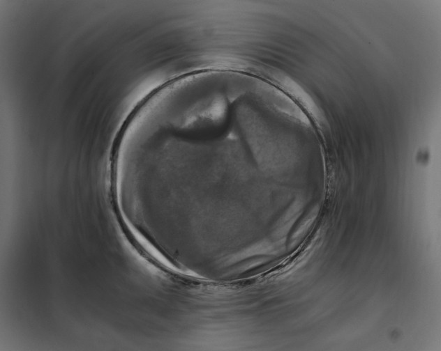 X0000101411095200807281019