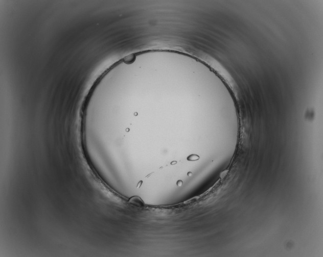 X0000101411096200807281019