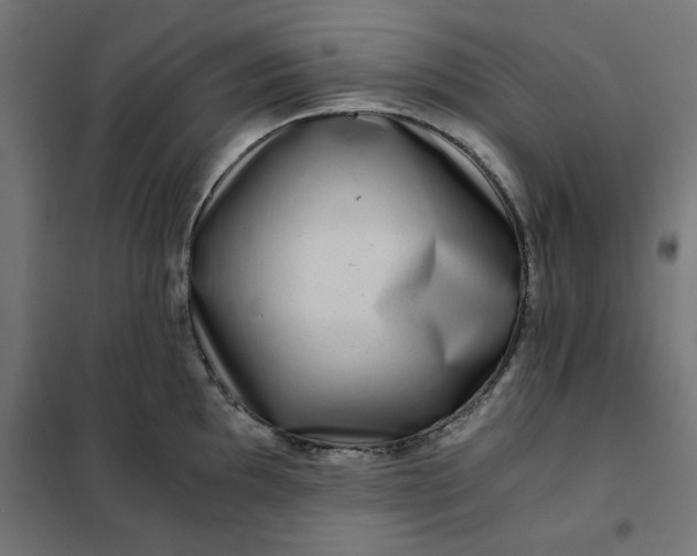 X0000101411097200807281019