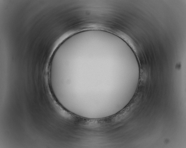 X0000101411098200807281019