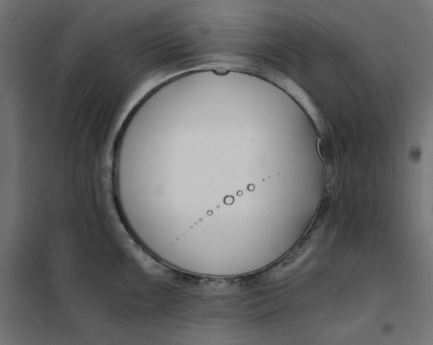 X0000101411099200807281019