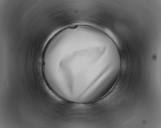 X0000101411100200807281019