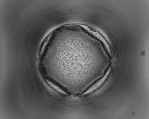 X0000101411101200807281019