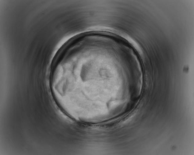 X0000101411102200807281019