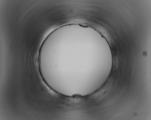 X0000101411103200807281019