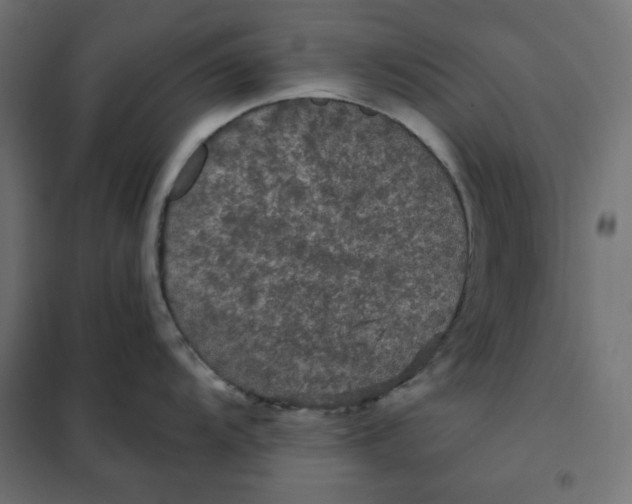 X0000101411104200807281019