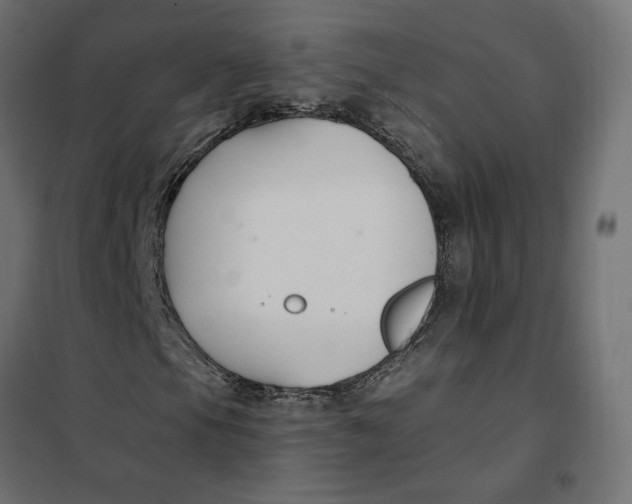 X0000101411105200807281019