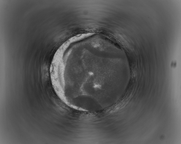 X0000101411106200807281019