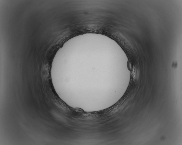 X0000101411107200807281019