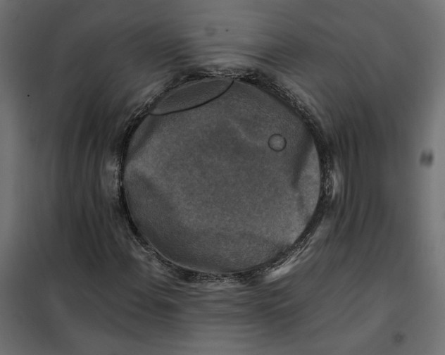 X0000101411108200807281019