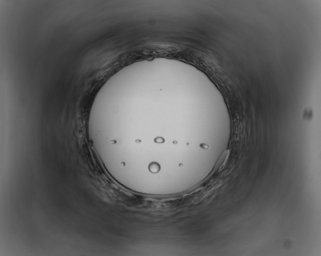 X0000101411109200807281019