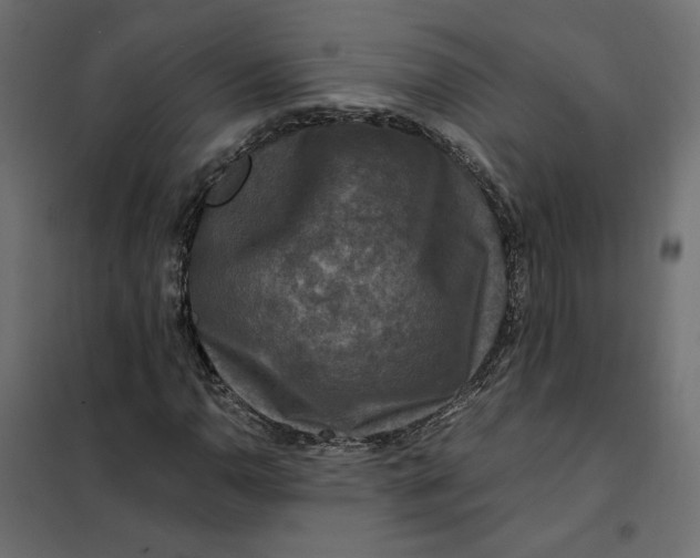 X0000101411110200807281019