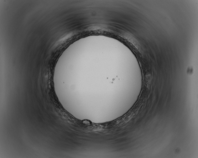 X0000101411111200807281019