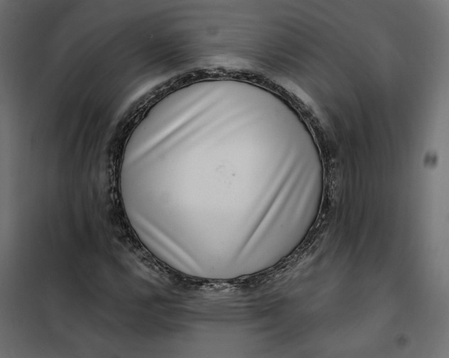 X0000101411112200807281019