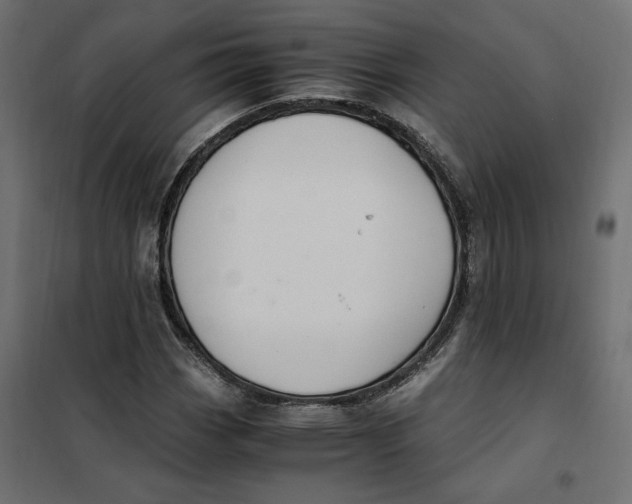 X0000101411113200807281019