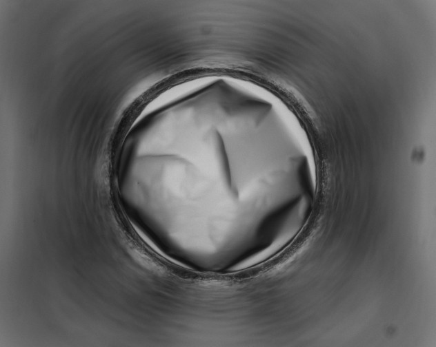 X0000101411114200807281019