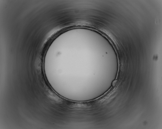 X0000101411115200807281019