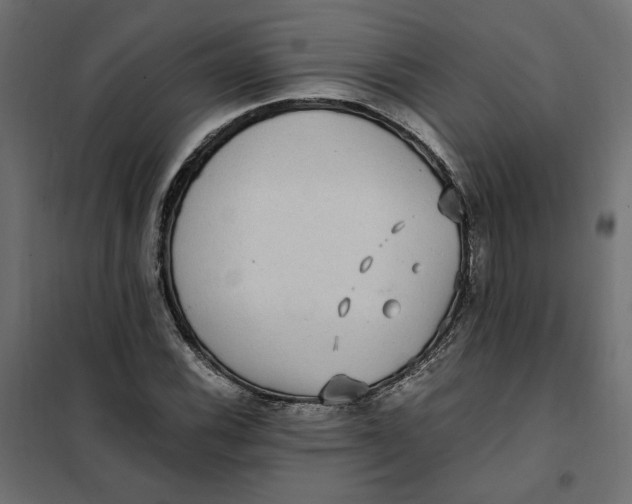 X0000101411116200807281019