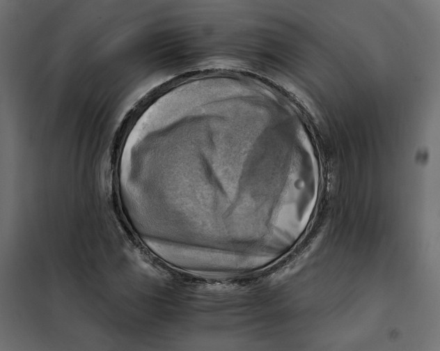 X0000101411117200807281019