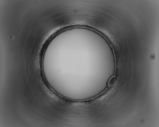 X0000101411118200807281019