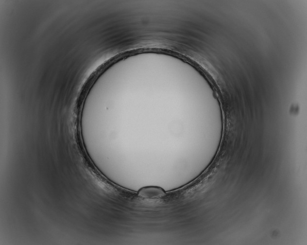 X0000101411119200807281019