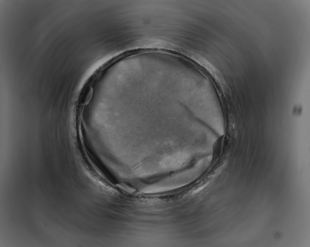 X0000101411120200807281019