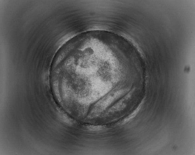 X0000101411121200807281019