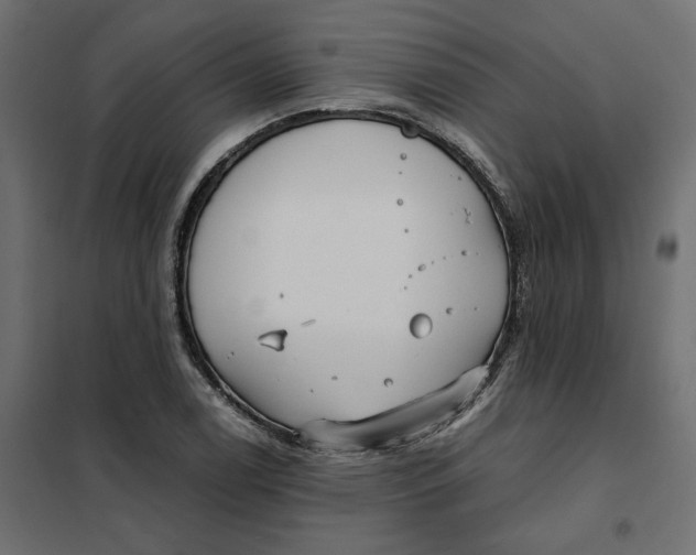 X0000101411122200807281019