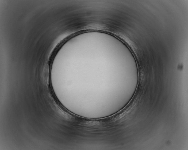 X0000101411123200807281019