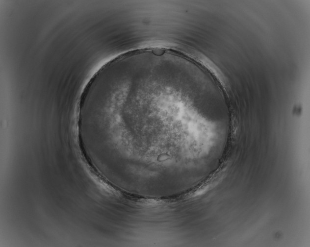 X0000101411124200807281019