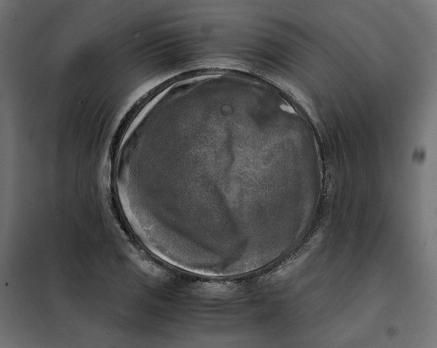 X0000101411125200807281019