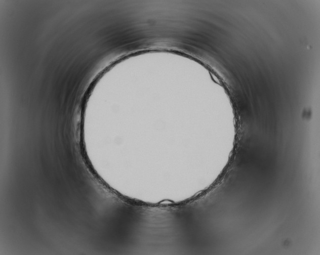 X0000101411126200807281019