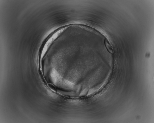 X0000101411127200807281019