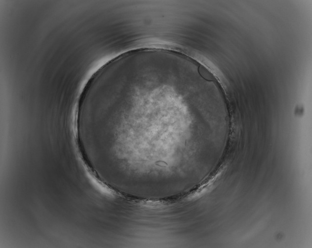 X0000101411128200807281019