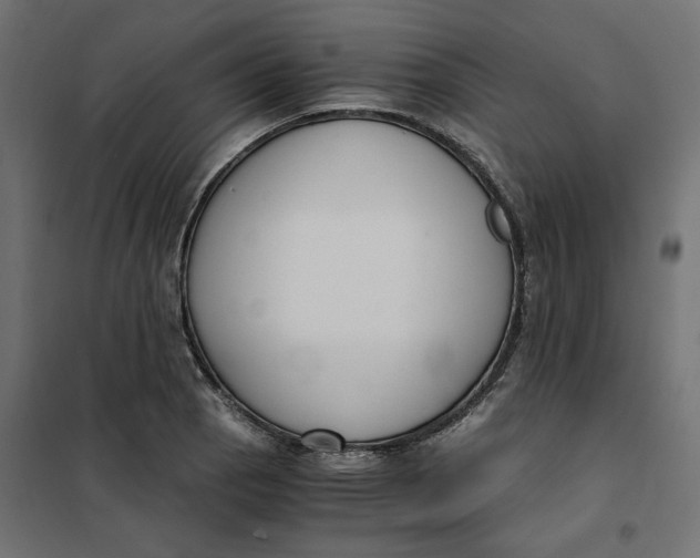 X0000101411129200807281019