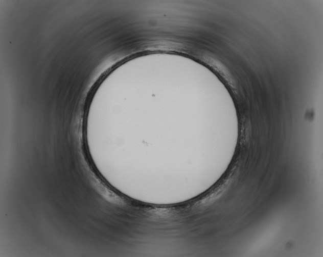 X0000101411130200807281019