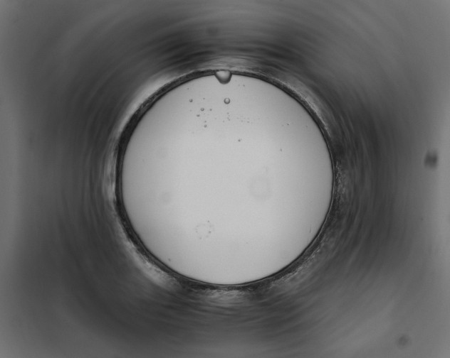 X0000101411131200807281019